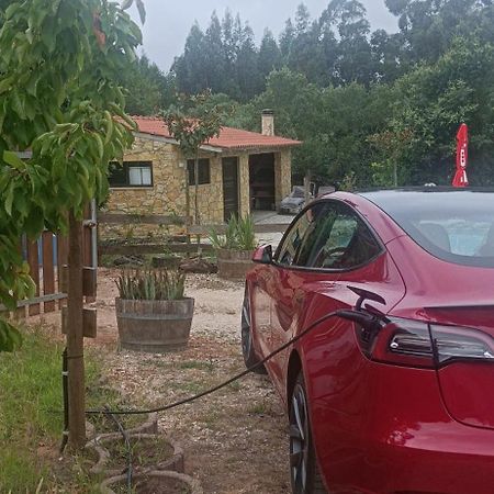 Quintinha Do Casal Ruivo Villa Figueiro Dos Vinhos Eksteriør billede
