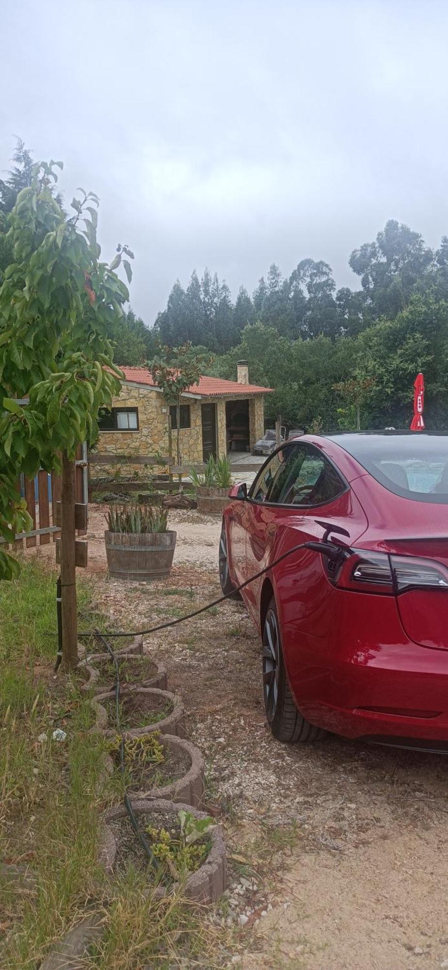 Quintinha Do Casal Ruivo Villa Figueiro Dos Vinhos Eksteriør billede